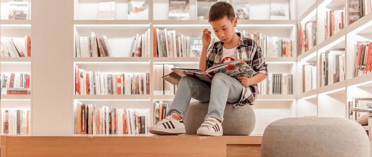 livre harcèlement scolaire